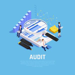 website audit